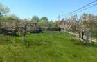 Vand teren Daia Noua - 1