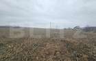 Teren extravilan 9000 mp, Ocna Mures - 4