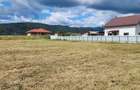 Teren de 5000 mp, în Dumbrava - 1