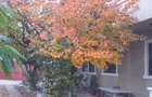 vila de vanzare, 260000 eur, str C.Brancoveanu, 14 - 6