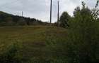 Vand teren intravilan, Valea Neagra, Bistra - 2