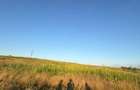 Vand teren intravilan 900 mp Dancu, zona Lacul Chiri?a - 1