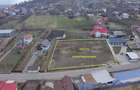 Teren 2921 mp Targu Neamt -Sos Baile Oglinzi - 2