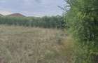 Teren 750 mp / Forvilla / Biharia / Toate utilitatile in fata terenului - 3