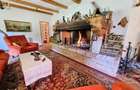 La Dolce Vita-casa vintage/moderna-Somesul Rece