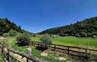 Oportunitate investitie resort/complex /pensiune ,Plaiul Foii Zarnesti - 9
