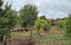 Casa zona centrala Sangeorgiu de Mures - 900 mp teren - 2