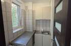 Inchiriere apartament 2 camere decomandat Raul Doamnei - 11
