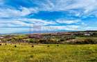 Teren extravilan 1468 mp | Sibiu - Daia Noua | priveliste spectaculoas