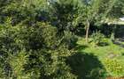 Chirie spatiu birouri 55mp - renovat - etaj 1 (apartament) - 7