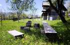 Pensiune agroturistica de vanzare | Desesti Maramures - 2