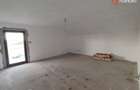Comision 0% Casa individuala 5 camere cu teren de 747 mp in Sanandrei - 7