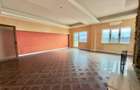 PENTHOUSE EXCLUSIVIST IN INIMA CRAIOVEI | 317 mp utili + 393 mp terase, Centru - 12