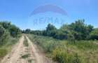 Teren intravilan 500mp | Kuncz, Timi?oara | Oportunitate de Investi?ie - 4