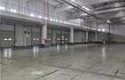 Spatiu Industrial - 3000 mp - Logistica - Productie - Depozitare - Distributie - 3