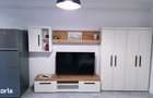 Apartament cu 1 camera de inchiriat Mazepa Rosiori - 9