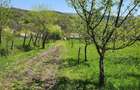 Vand teren 16000 mp intravilan/extravilan in zona Valenii de Munte jud. Prahova - 4