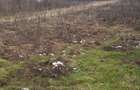 Teren arabil de 700mp la 10000 euro la 60 mp de str E70 Rac - Filiasi (Dolj)