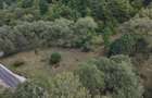 Vand teren com Ramet, jud Alba - 2