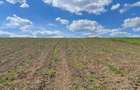 Teren agricol 15 ha | Compact, imprejmuit | Ivane?ti, Vaslui - 2
