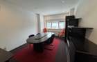 Inchiriere apartament patru camere ideal firma Cotroceni Medicina - 9