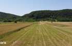 Teren 5000 mp|Deschidere 28 ml|Utilita?i|Langa padure|Magureni Prahova