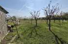 Vand casa individuala 3 camere si anexe Beregsau Mare direct de la proprietar - 8