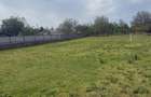 Teren intravilan 1000m2 la Sosea - 3
