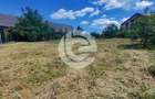 Teren intravilan Sura Mare - 578 Mp - PUZ aprobat si toate u - 6