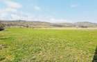 Teren de vanzare 8906 mp, Dofteana - 3