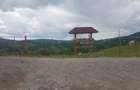 Teren de 1700 mp, în Pietroșița - 2
