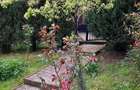Teren + cabana, spre vanzare,/ inchiriere in zona Tudor - 10
