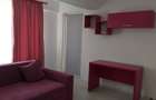 Apartament 1 camera - zona Tatarasi Sud - 2