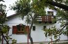 Vila romantica la Breaza - 2