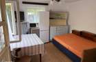 CASA SPATIOASA CU TEREN 1300MP, BALS OLT - 5