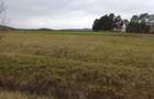 Teren extravilan 2200 mp Arcus -Valea Crisului - 7