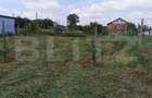 Teren intravilan de vanzare, 978 mp, zona Dudovicesti