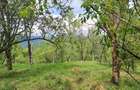 Teren intravilan de vanzare 5991.mp loc ?otrile - 5