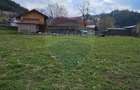 Teren 1,520mp Hangu / Strada Principala - 4