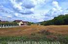 Teren intravilan, parcele, toate utilitatile - Zavoaie, Bistrita - 5