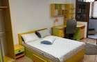 Apartament cu 3 camere, 2 bai- de inchiriat- Cartierul Latin - 8