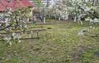 Proprietate de vanzare - 1