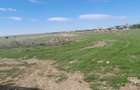 Teren de 9000 mp, în Albota - 5