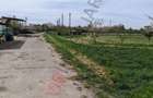 Ferma Zootehnică– Satchinez,  | 9,5 ha teren,vanzare sau schimb pentru jumatate - 1