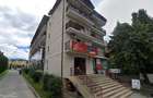 Spatiu comercial de inchiriat in Curtea de Arges ( 400 mp ) - 5