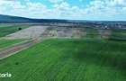 Gaminvest-Teren de vanzare, Rontau, Bihor V3726 - 3