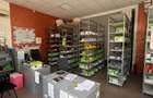 spatiu comercial la parter de bloc zona pacuarai 120 mp 1300 euro neg - 5
