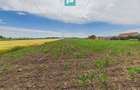 Teren extravilan 5000 mp, Arad