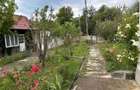 DE VANZARE Casa + Teren 3.100 MP | Suslanesti, Comuna Mioarele, ARGES - 5