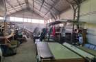Hala structura metalica 235 mp inal?ime 6 m Terezian / Kogalniceanu - 8